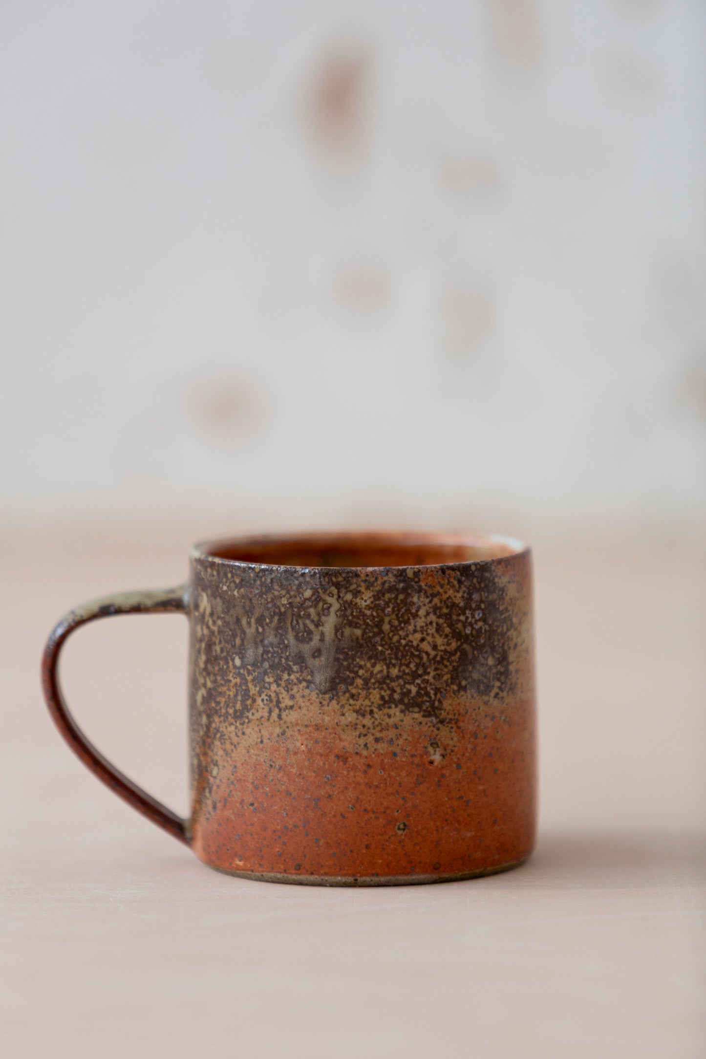 The Daily Mug - Shino + Wood Ash